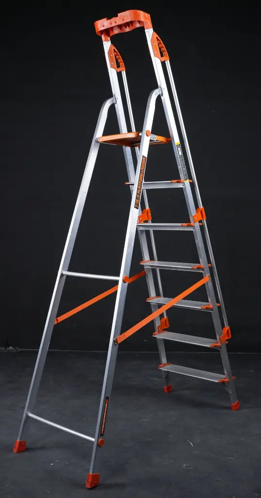 AAG07856.webp