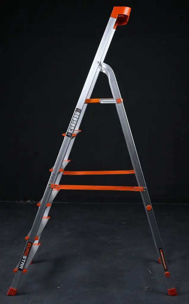 AAG07666.webp