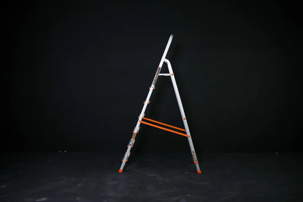 AAG09692.webp