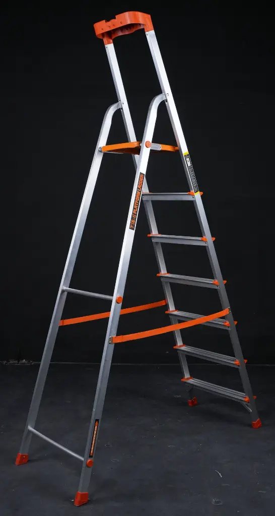 AAG07681.webp