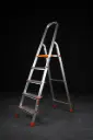 305